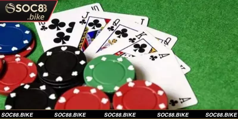 Bí quyết chơi phỏm hiệu quả, tự tin chiến thắng