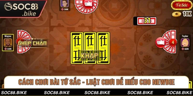 Cách Chơi Bài Tứ Sắc - Luật Chơi Dễ Hiểu Cho Newbie