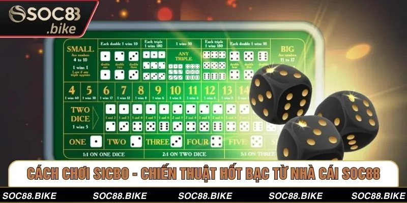 Cách Chơi Sicbo - Chiến Thuật Hốt Bạc Từ Nhà Cái SOC88 Cách Chơi Sicbo - Chiến Thuật Hốt Bạc Từ Nhà Cái SOC88
