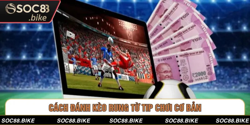 Cách Đánh Kèo Rung: Bí Quyết Đặt Cược Hiệu Quả Từ SOC88 Cách đánh kèo rung từ tip chơi cơ bản