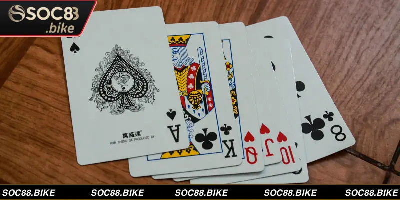 Kiến thức nhập môn mậu binh cho người mới 